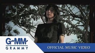 ช่างไม่รู้เลย - Peacemaker
