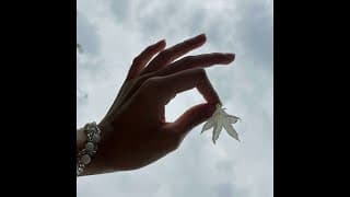 ผกา (Flower) - JUNENOM