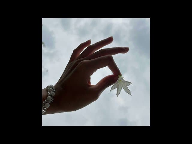 ผกา (Flower) - JUNENOM