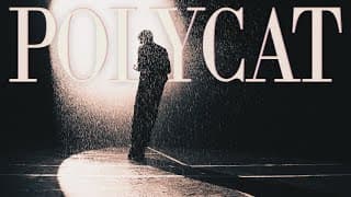 เครื่องหมายมากกว่า - POLYCAT
