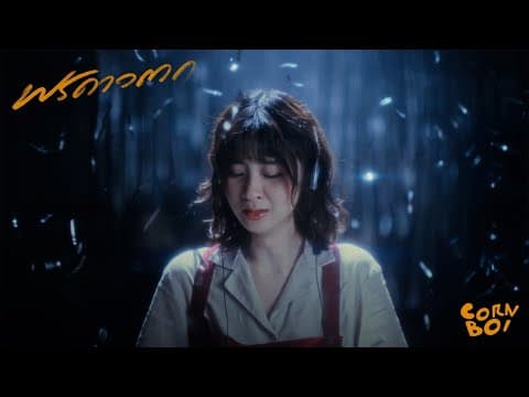 พรดาวตก - CORNBOI