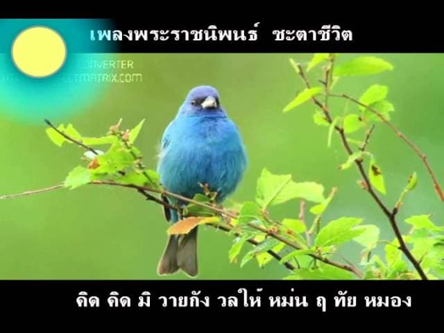 ชะตาชีวิต