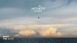 นกน้อย (noknoi)