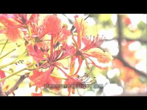 ยูงทอง - เพลงพระราชนิพนธ์