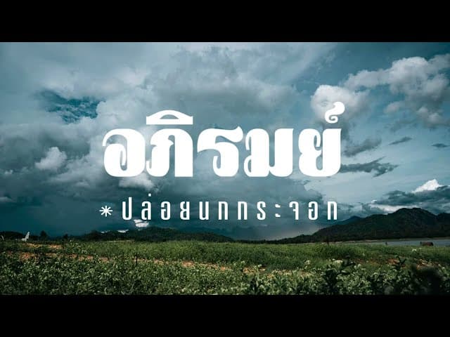 คอร์ดเพลง ปล่อยนกกระจอก อภิรมย์