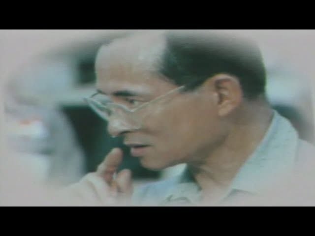 ต้นไม้ของพ่อ