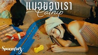 แมวของเรา - Spoonfulz