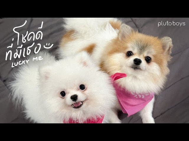 โชคดีที่มีเธอ (Lucky Me)