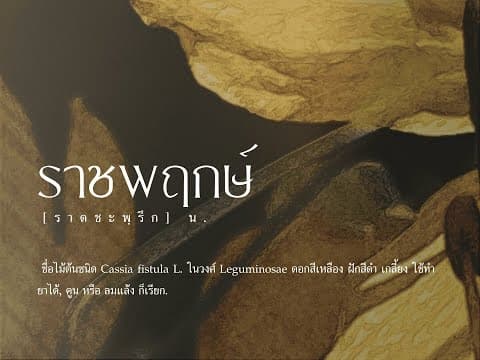 วอนฤทัยหวนคืน - JUNENOM