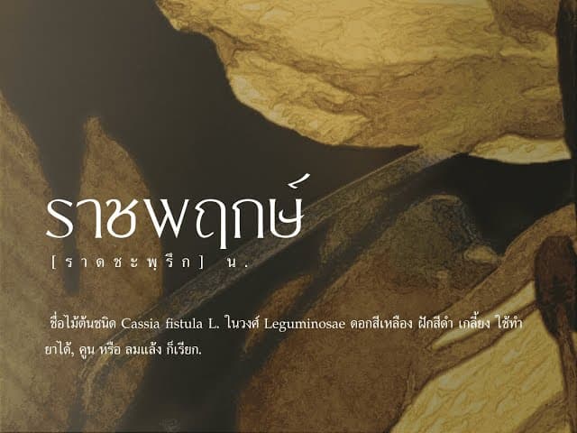วอนฤทัยหวนคืน - JUNENOM