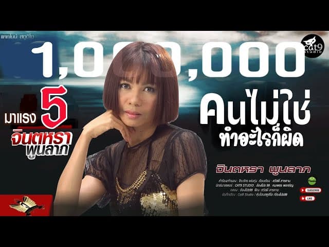 คนไม่ใช่ทำอะไรก็ผิด