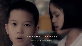 ยังเยาว์ - ANATOMY RABBIT