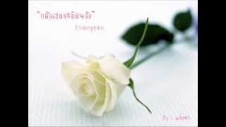 กลัวเธอจะผิดหวัง - Endorphine