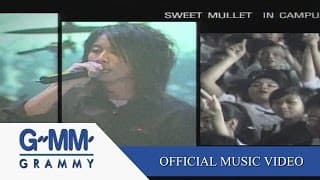 เพลงของคนโง่ - Sweet Mullet