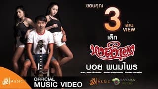 เด็กหงส์ (ทอง) - บอย พนมไพร