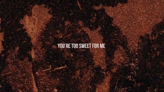 Too Sweet - Hozier