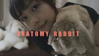 แอบหวัง - ANATOMY RABBIT