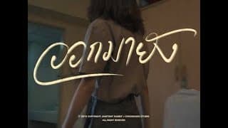 ออกมายัง? - ANATOMY RABBIT