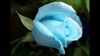 บุพเพสันนิวาส ศรัณย่า ส่งเสริมสวัสดิ์